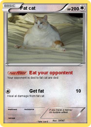 Pokemon Fat cat