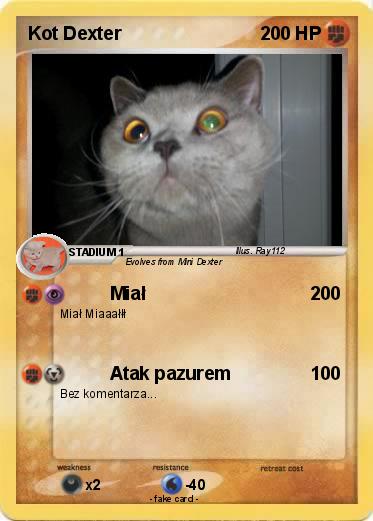 Pokemon Kot Dexter