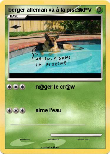 Pokemon berger alleman va à la piscine