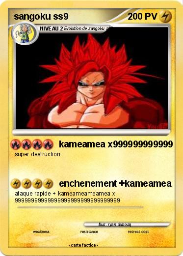 Pokemon sangoku ss9