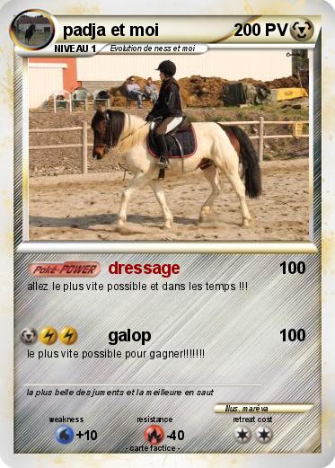 Pokemon padja et moi