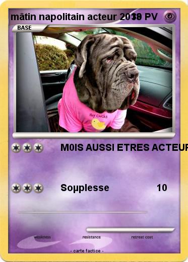 Pokemon mâtin napolitain acteur 2018
