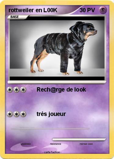 Pokemon rottweiler en L00K