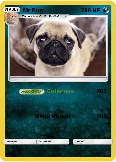 Pokemon Mr.Pug