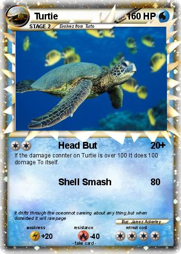 Pokemon Turtie