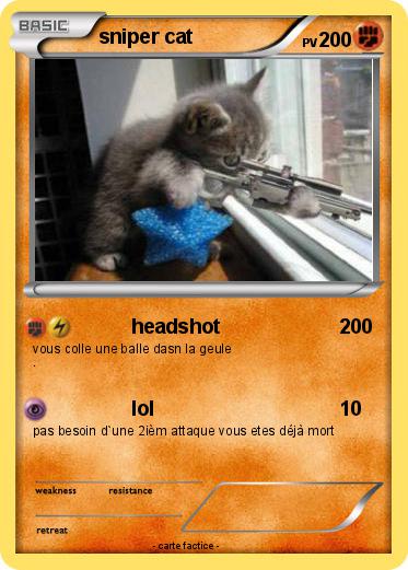 Pokemon sniper cat