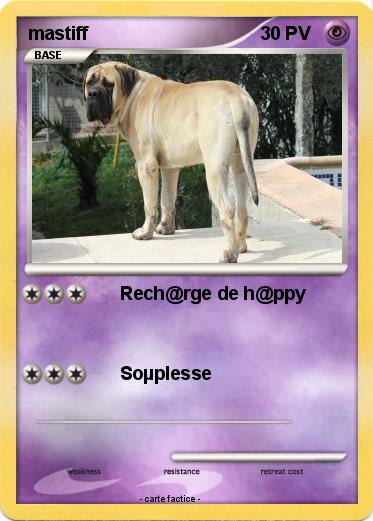 Pokemon mastiff