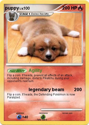 Pokemon puppy