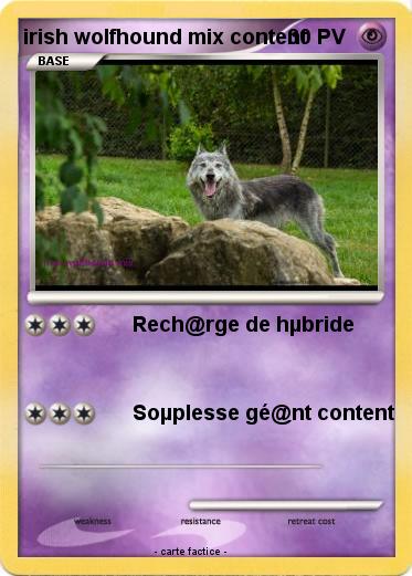 Pokemon irish wolfhound mix content