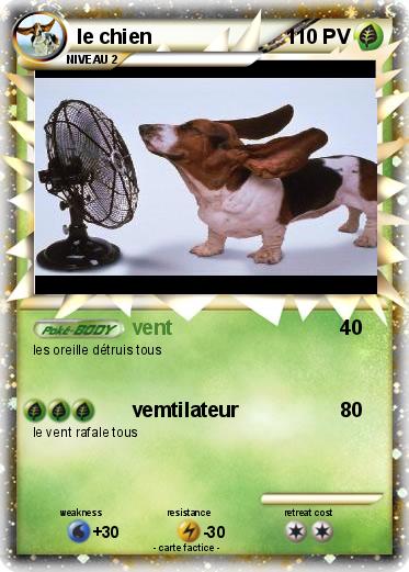Pokemon le chien