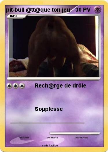 Pokemon pit-bull @tt@que ton jeu