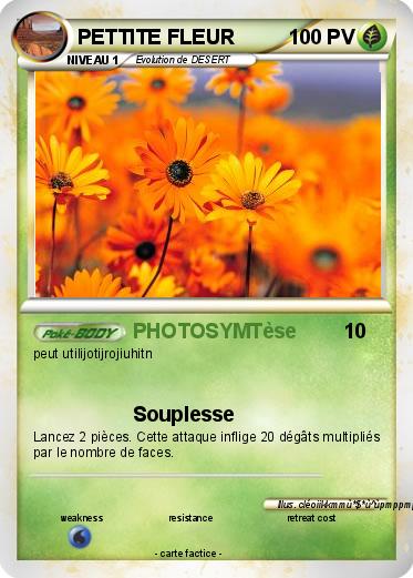 Pokemon PETTITE FLEUR