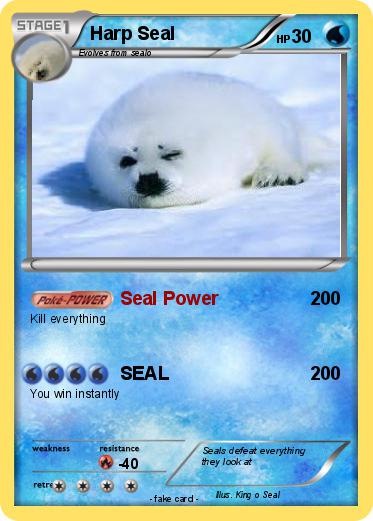 Pokemon Harp Seal