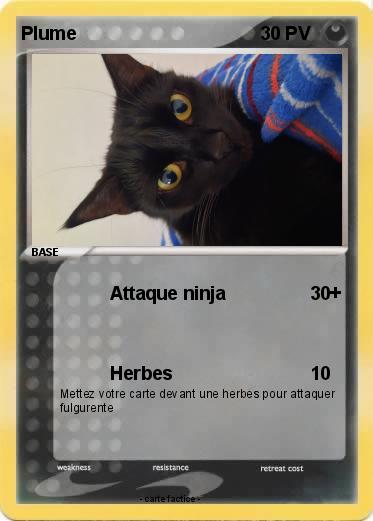 Pokemon Plume