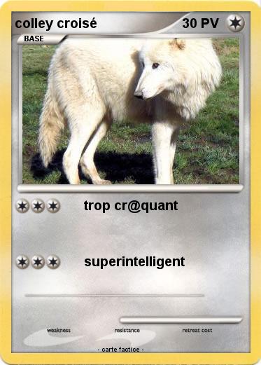 Pokemon colley croisé