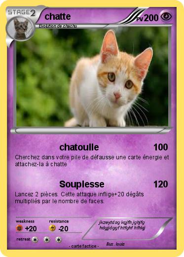 Pokemon chatte
