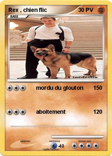 Pokemon Rex , chien flic