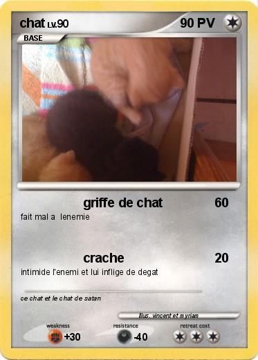 Pokemon chat