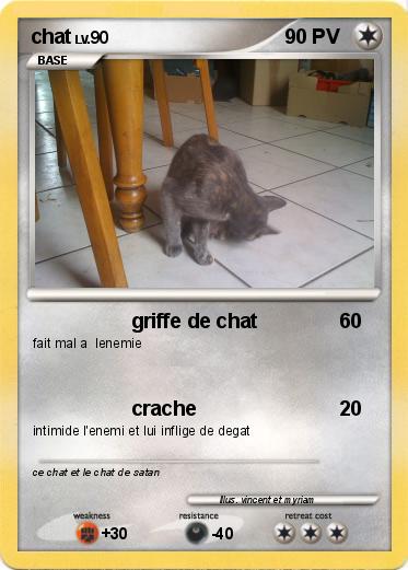 Pokemon chat