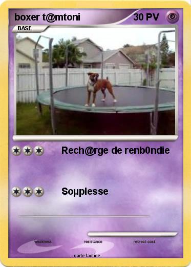 Pokemon boxer t@mtoni