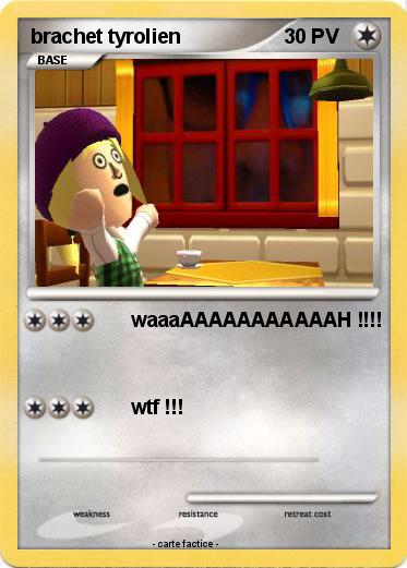 Pokemon brachet tyrolien