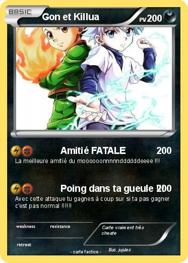 Pokemon Gon et Killua