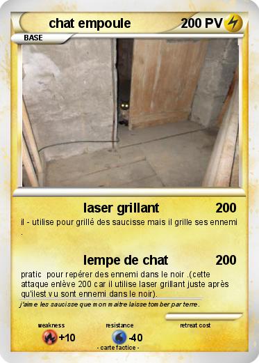Pokemon chat empoule