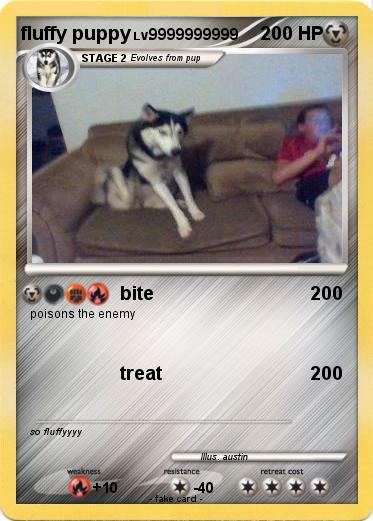 Pokemon fluffy puppy