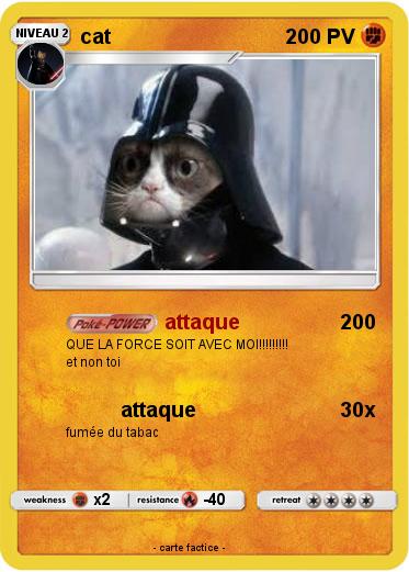 Pokemon cat