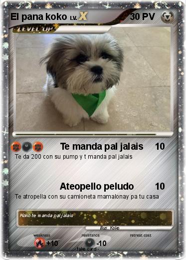 Pokemon El pana koko