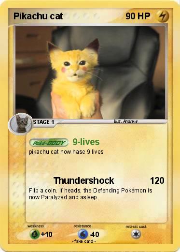 Pokemon Pikachu cat