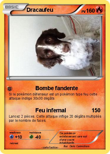 Pokemon Dracaufeu