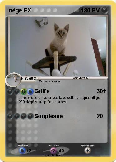 Pokemon nège EX