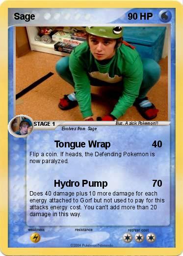 Pokemon Sage
