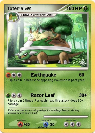 Pokemon Toterra