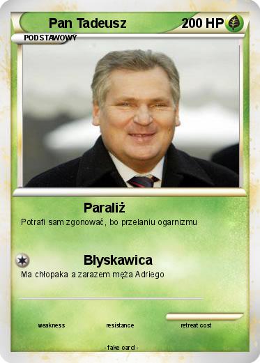 Pokemon Pan Tadeusz