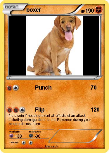 Pokemon boxer