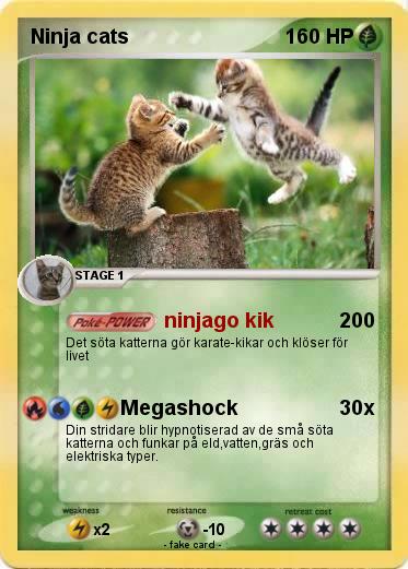 Pokemon Ninja cats