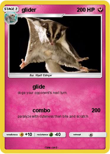 Pokemon glider