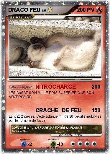Pokemon DRACO FEU
