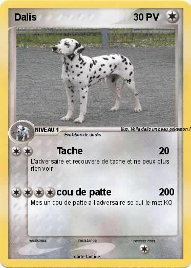 Pokemon Dalis