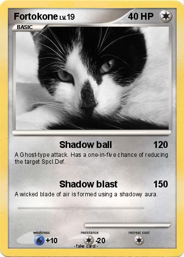 Pokemon Fortokone