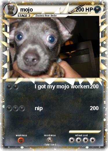Pokemon mojo
