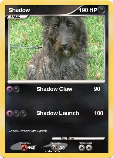 Pokemon Shadow