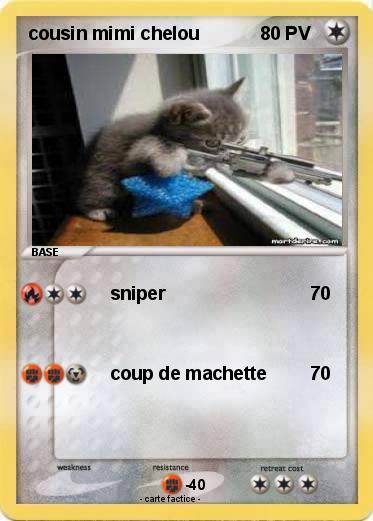 Pokemon cousin mimi chelou