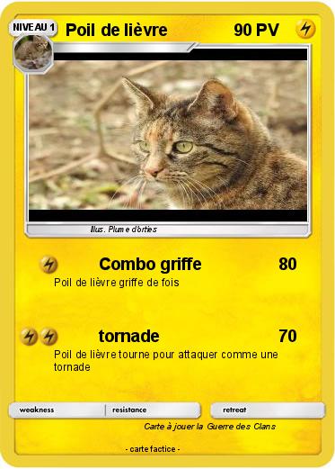 Pokemon Poil de lièvre