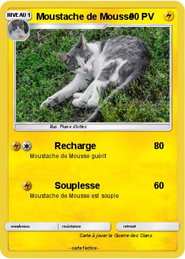 Pokemon Moustache de Mousse