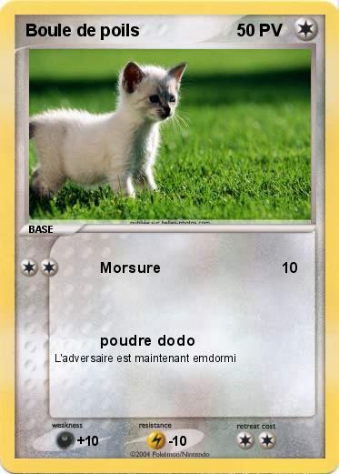 Pokemon Boule de poils