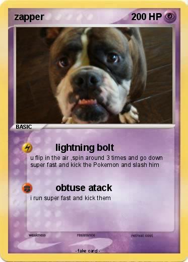 Pokemon zapper