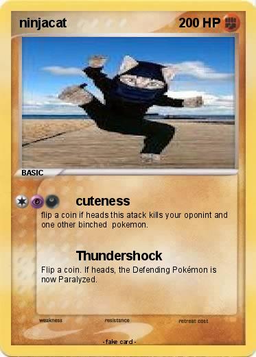 Pokemon ninjacat
